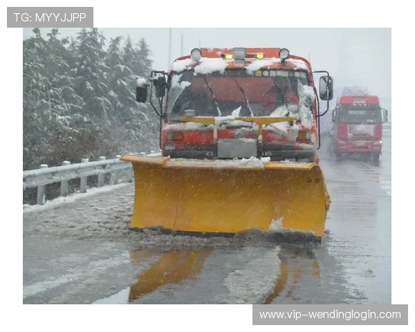 问鼎h5登录：保障用户信息安全的多重验证机制与风险控制策略